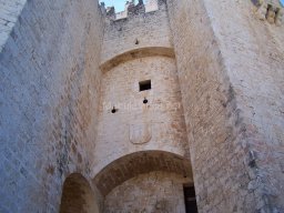 Castillo de Velez-Blanco 2010